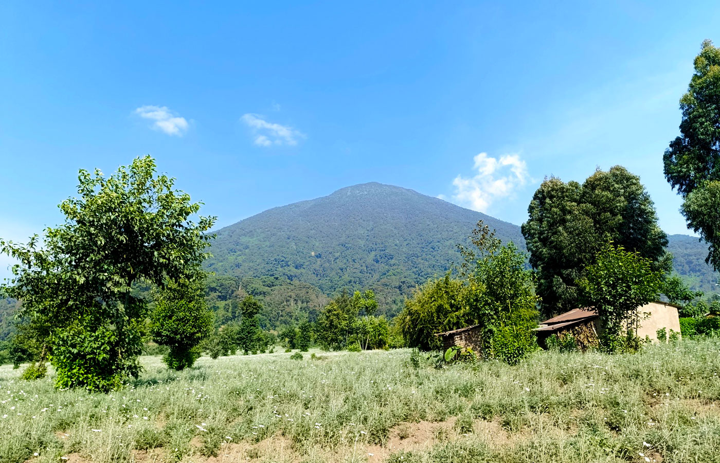 1-day-rwanda-mount-bisoke-hiking-tour