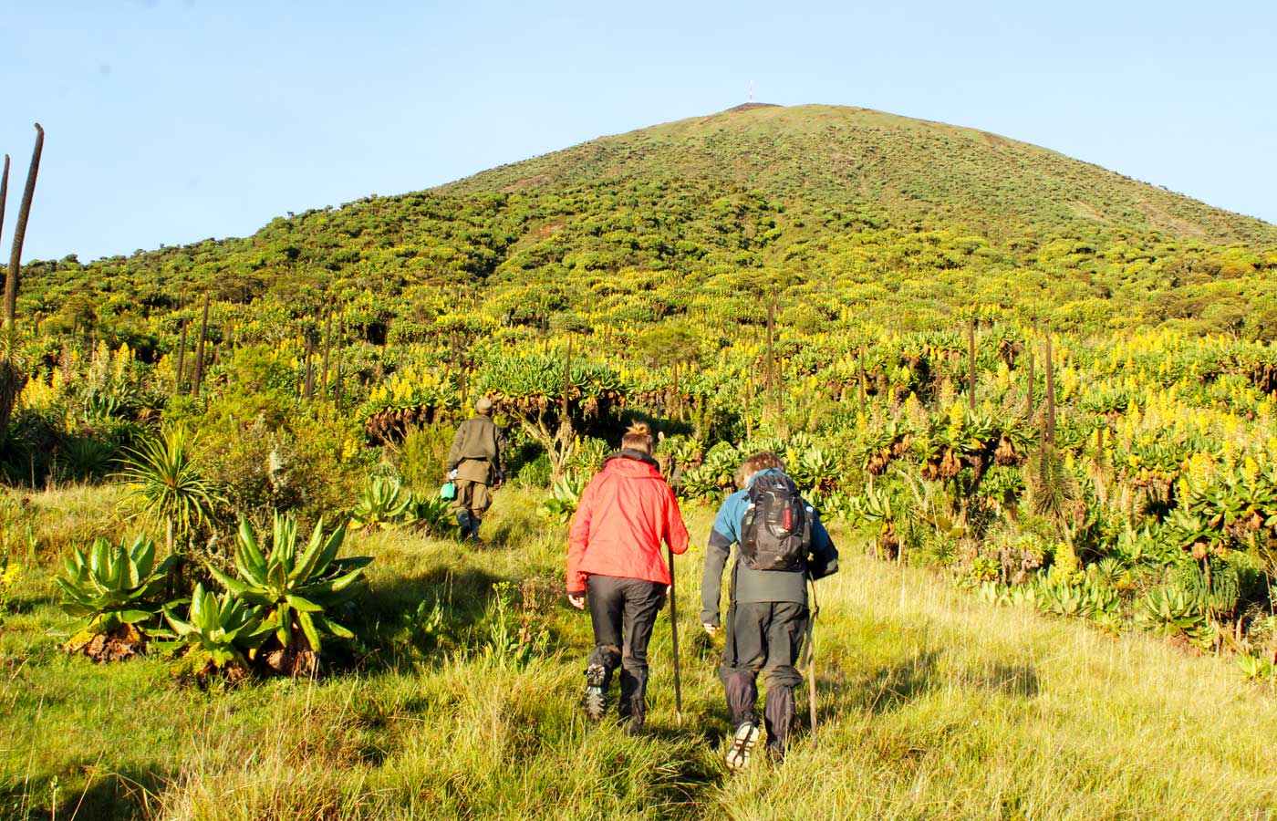 2-days-mount-karisimbi-volcano-hike-tour