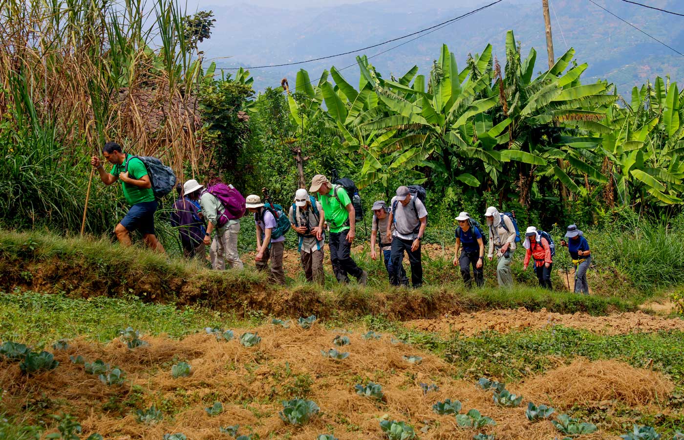 exploring-the-splendid-trails-of-mt-kabuye