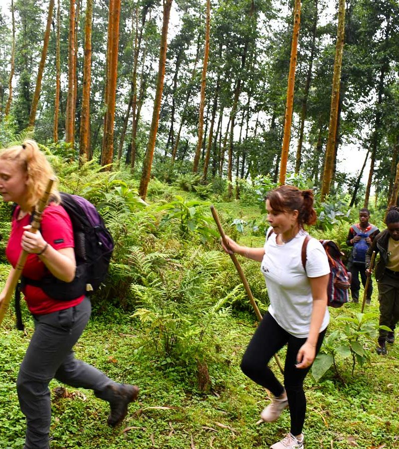 mount-muhungwe-guided-hike