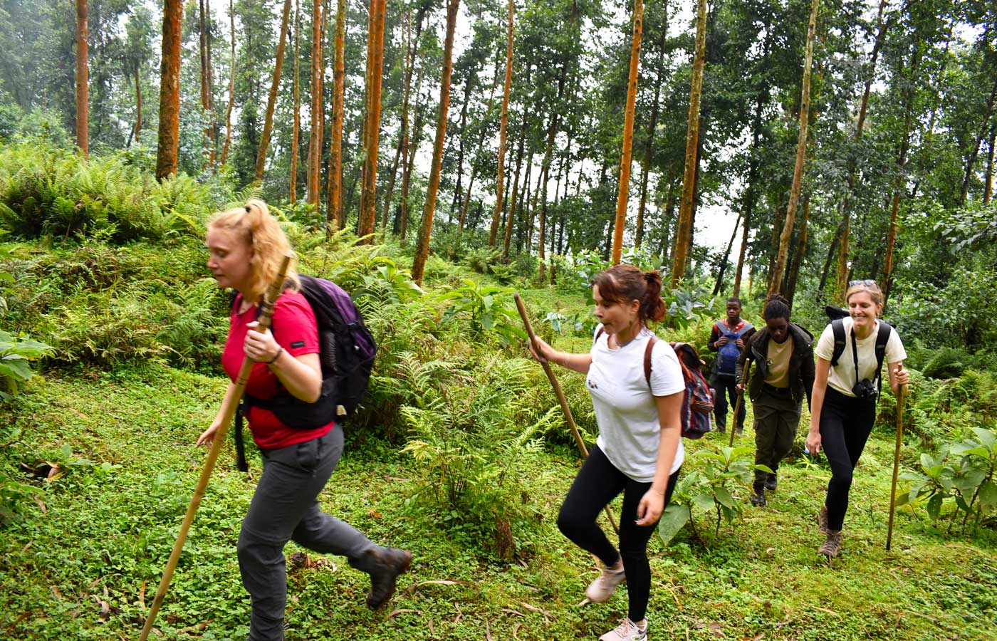 mount-muhungwe-guided-hike