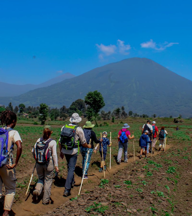 scenic-walk-around-volcanoes-with-cultural-picnic